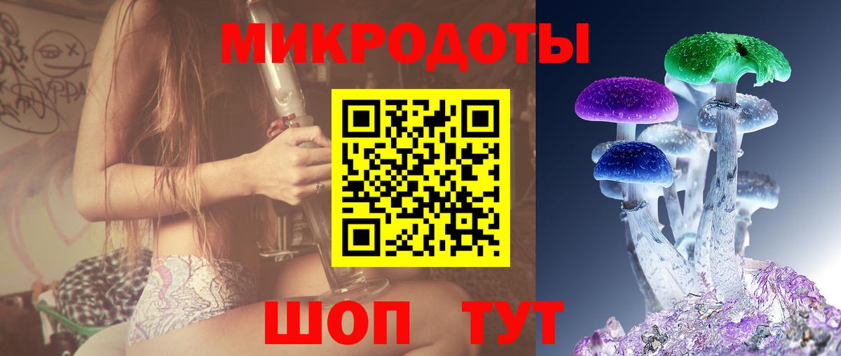 Псилоцибиновые грибы Psilocybe Острогожск