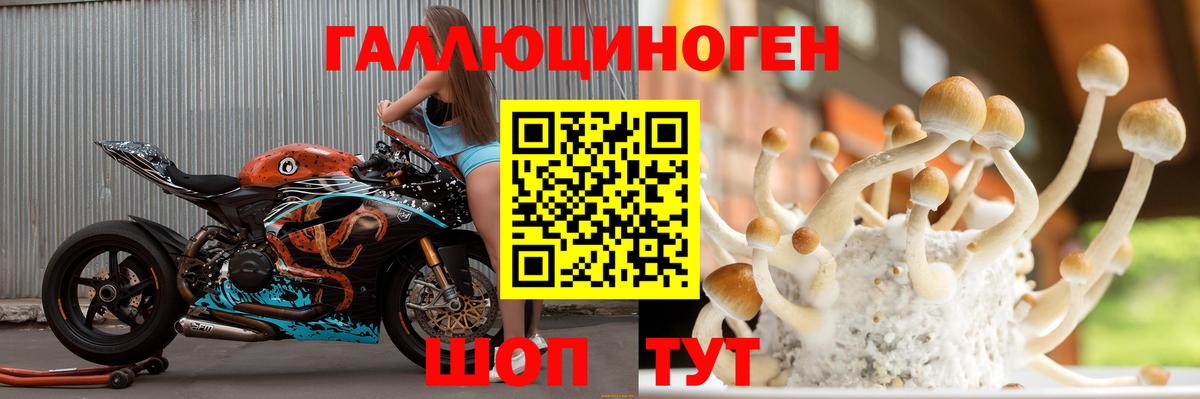 Псилоцибиновые грибы Psilocybe  Вход с VPN  Острогожск 