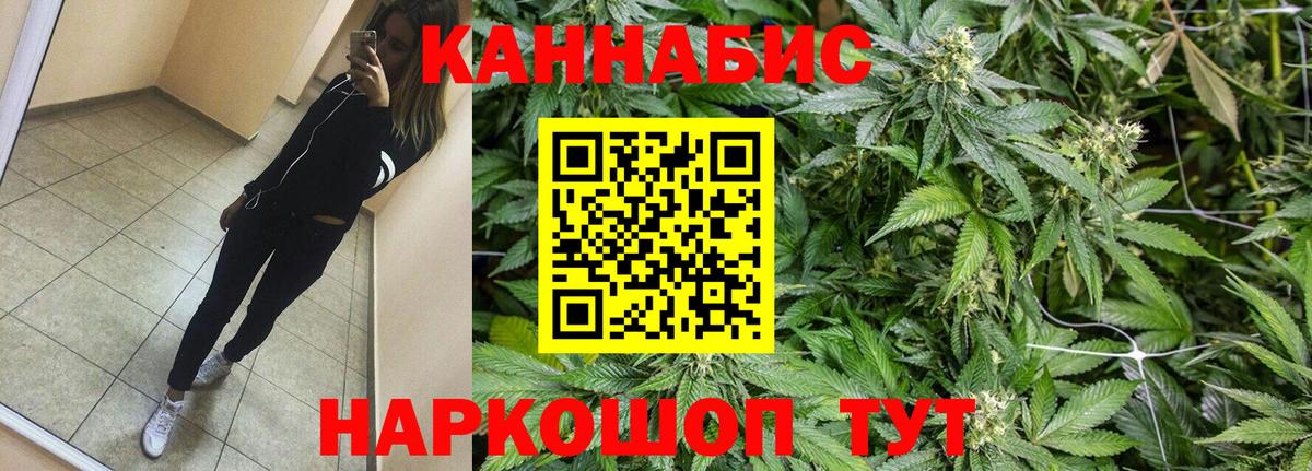 Острогожск  Каннабис план  Вход с VPN  Канабис гибрид  Марихуана Bruce Banner 